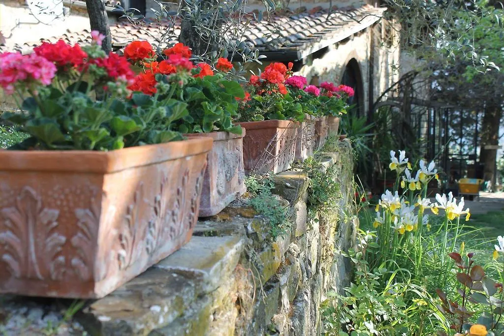 Farm stay Casa Mezzuola Agriturismo Villa Greve in Chianti Italy