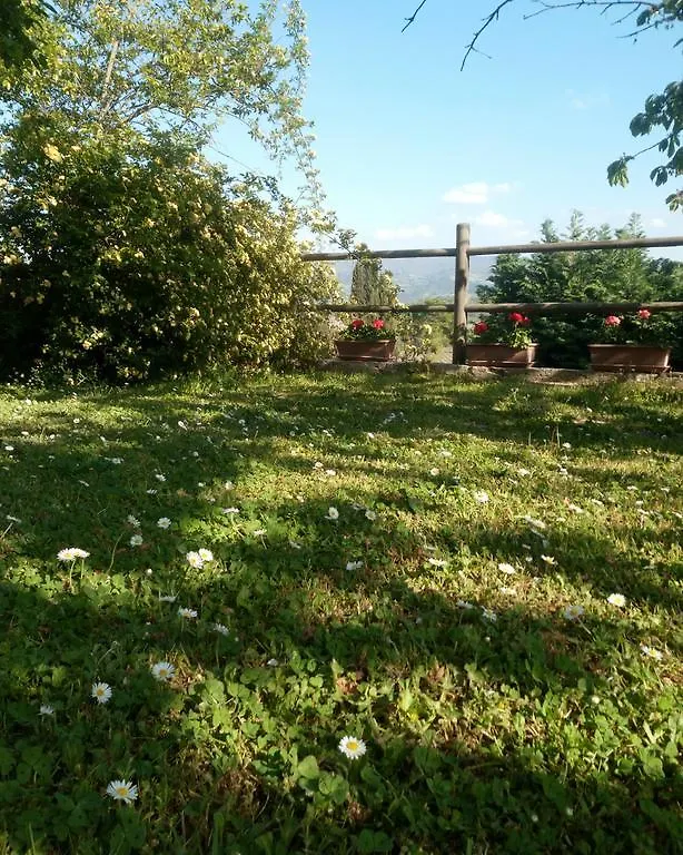 Casa Mezzuola Agriturismo Villa Greve in Chianti