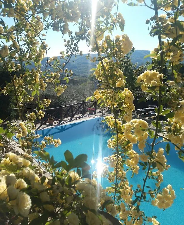 Casa Mezzuola Agriturismo Villa Greve in Chianti 0*,